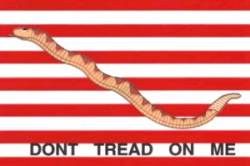Don't Tread On Me - Flag Sticker