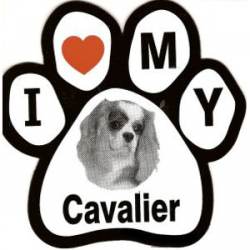 I Love My Cavalier - Paw Magnet