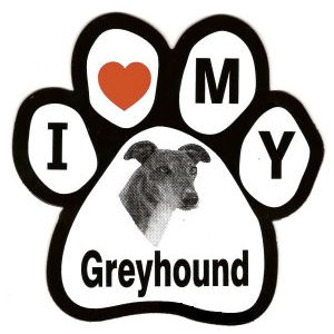 i love greyhounds
